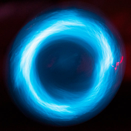 Bioluminescent PyroDino circle flask bio-light