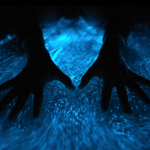 PyroDinos displaying bioluminescence at night with hands