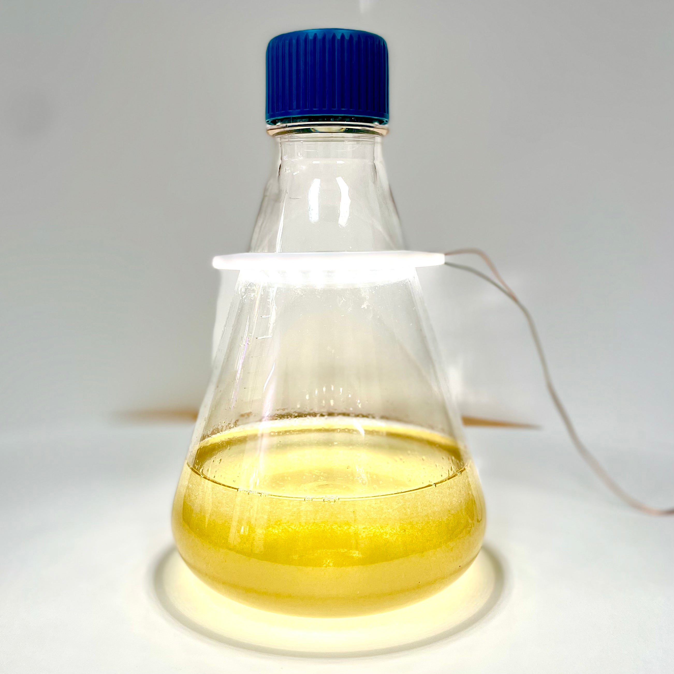Close-up of the GrowPro+ System showing dinoflagellate culture vessel
