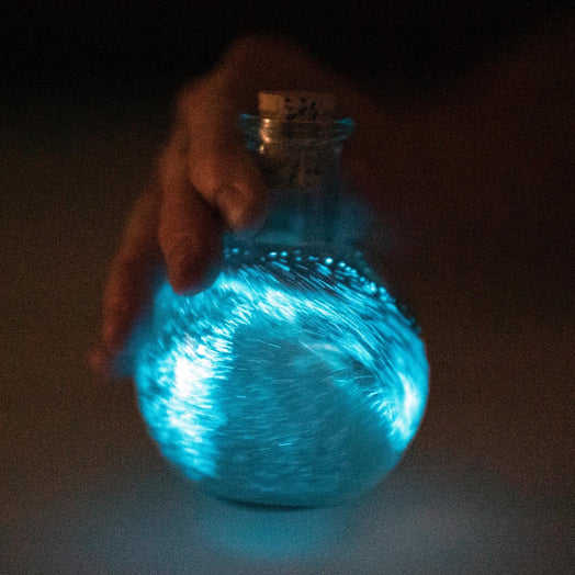 Bioluminescent Potion Bottle