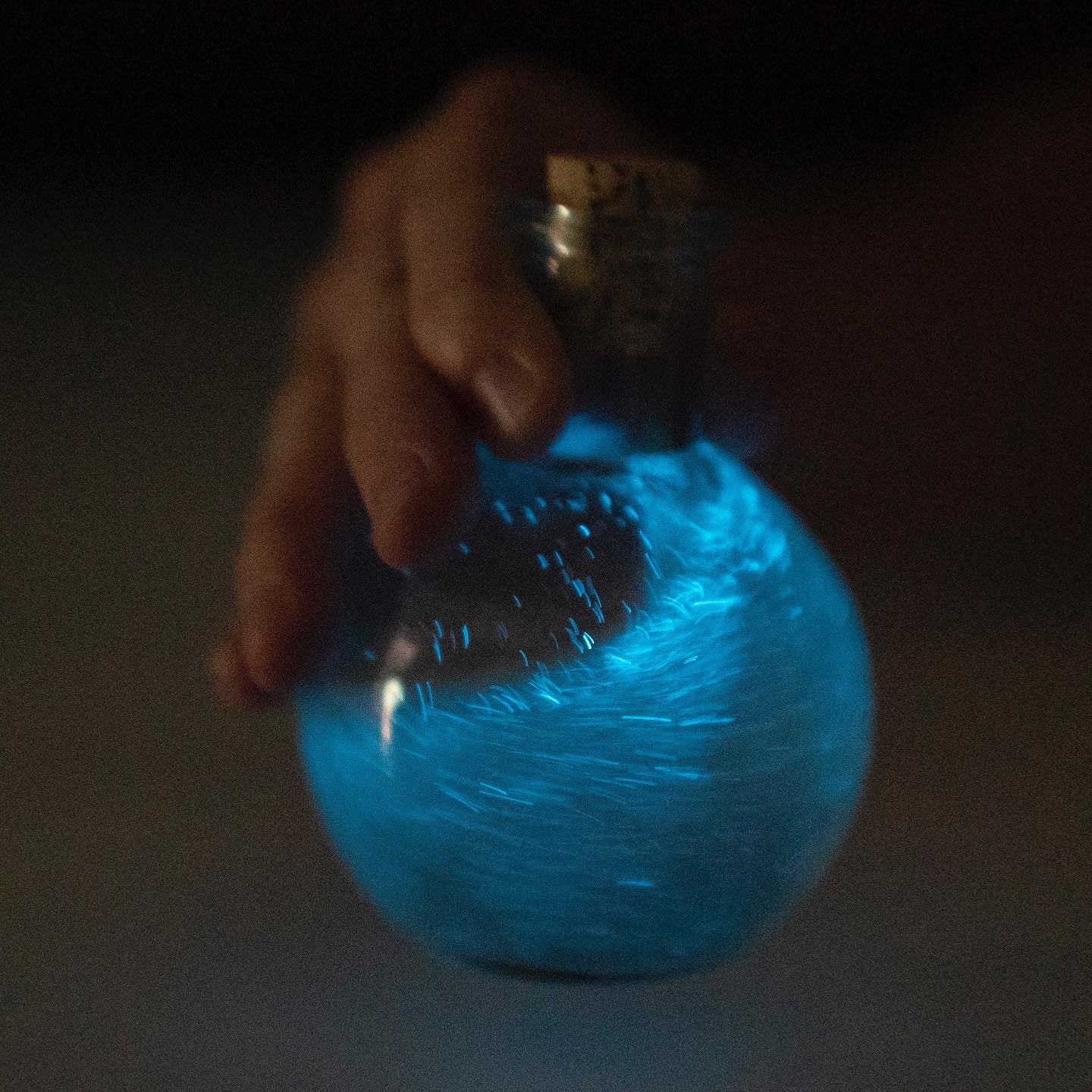 Bioluminescent Magic Potion Bottle nighttime 