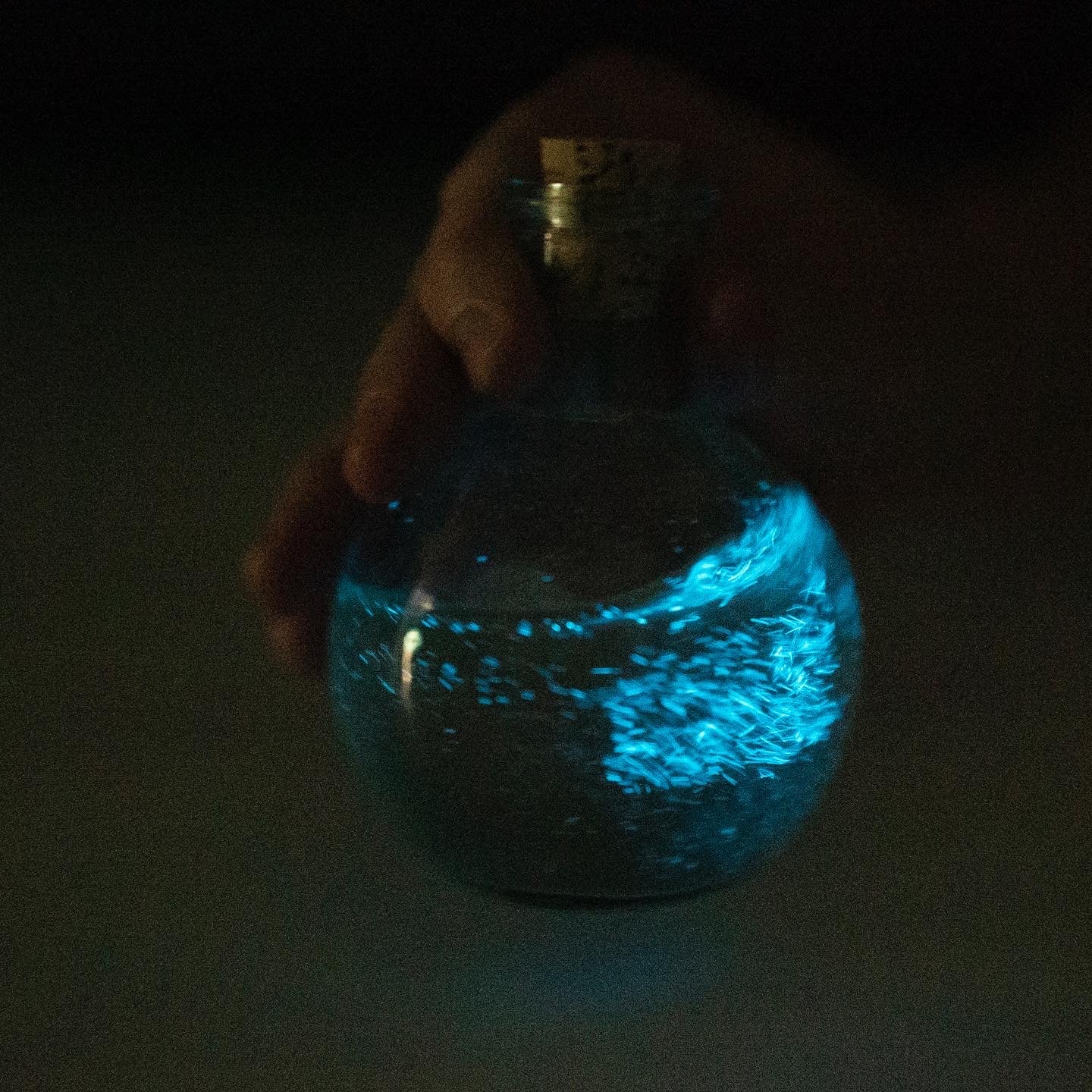 Bioluminescent Magic Potion Bottle 