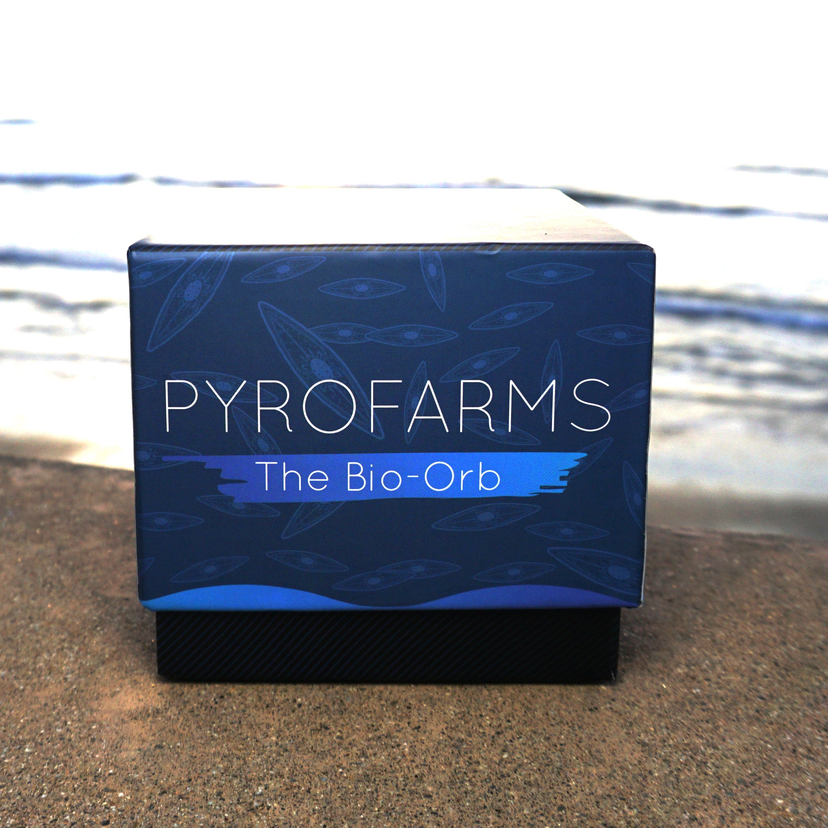 Bio-Orb Box at beach with waves