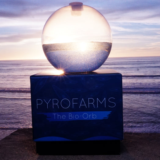 Bio-Orb glass sphere at beach on box