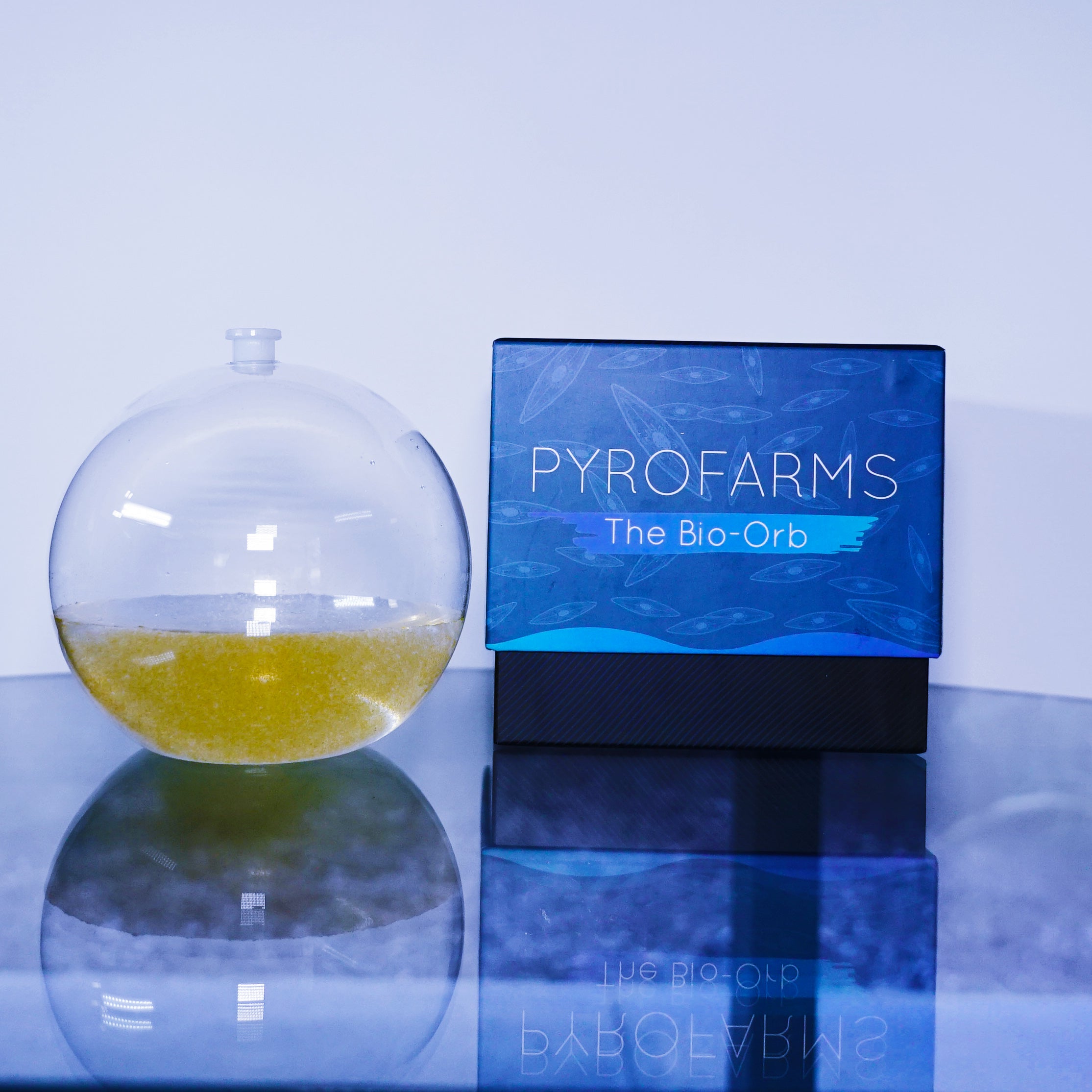 Large Bioluminescent Bio-Orb: A Living Light Aquarium