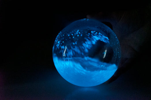 Large Bio-Orb displaying Bioluminescence
