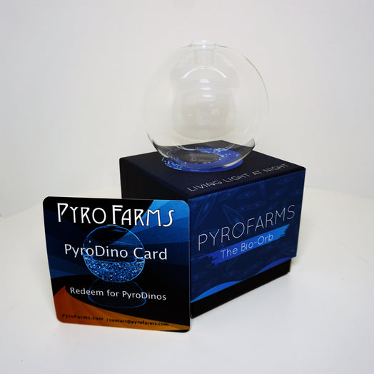 Bio-Orb Gift Option 2021 Orb and PryoDino Card