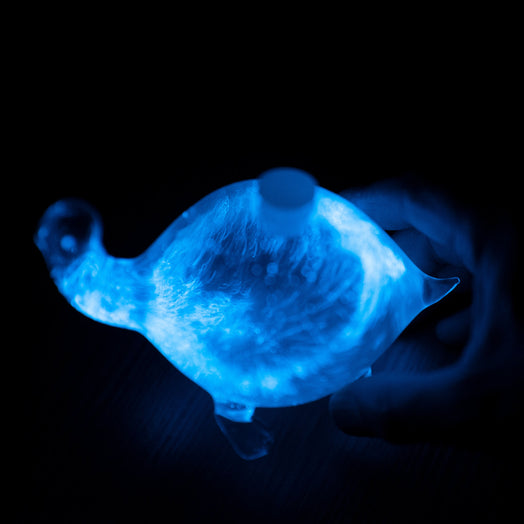 Bio-Turtle displaying Bioluminescence