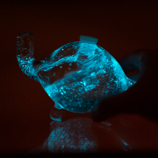 Bio-Turtle with agitated bioluminescent dinoflagellates.