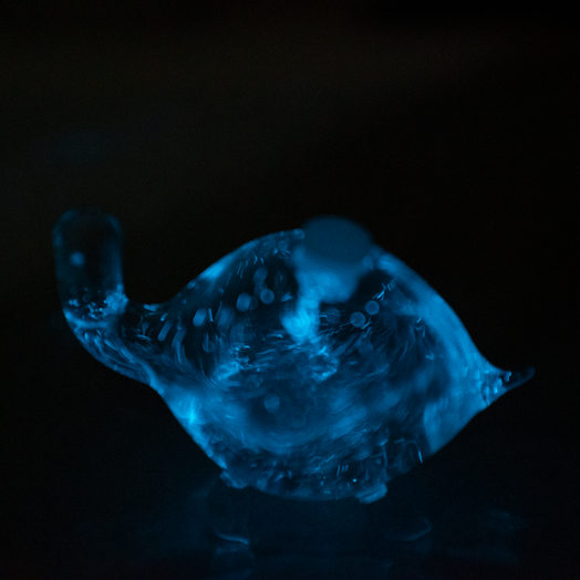 Bio-Turtle displaying Bioluminescence 