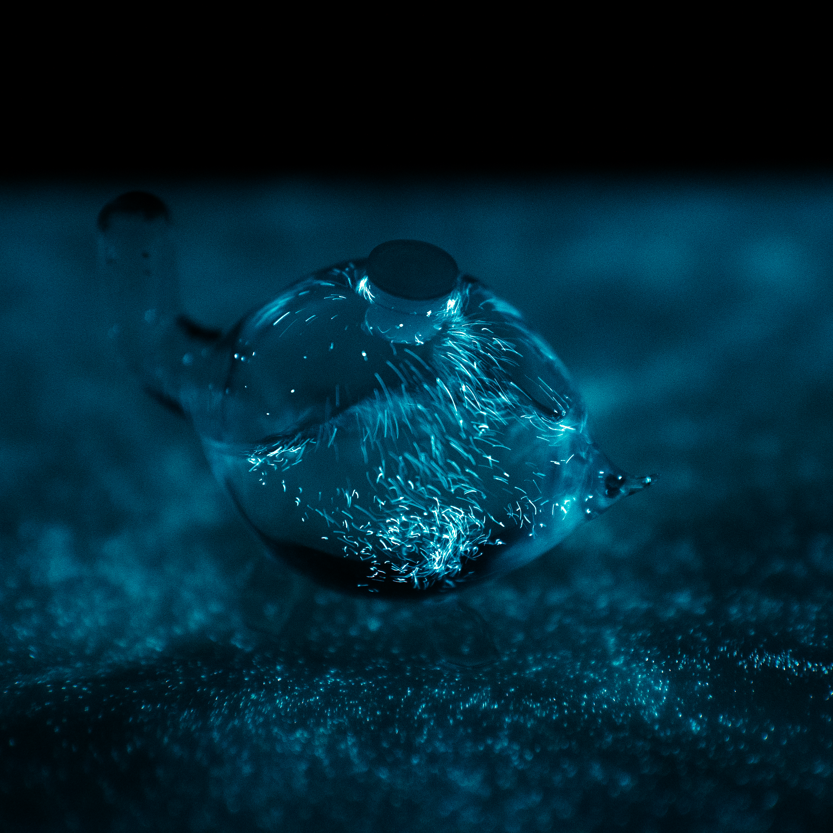 Bio-Turtle bioluminescent turtle by pyrofarms marine dinoflagellates