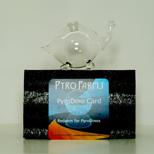 Bio-Turtle gift option bioluminescent turtle with PyroDino gift card