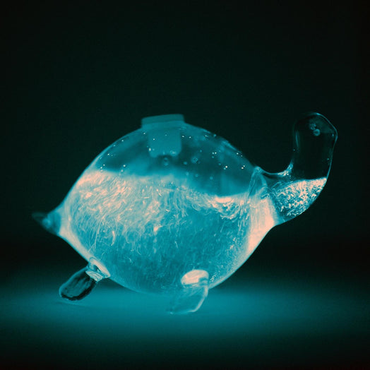 Bioluminescent Bio-Turtle