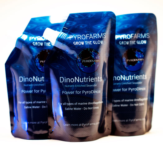 DinoNutrients - Filtered Pacific Ocean Seawater with Nutrients for Bioluminescent Plankton