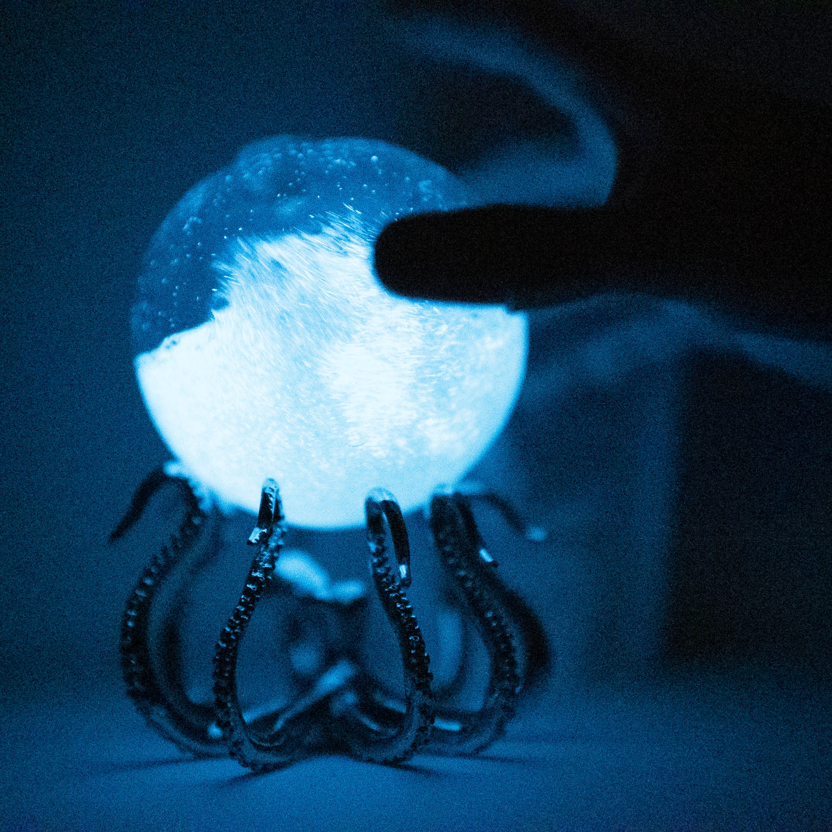 Bio-Orb on  OctoStand at night bioluinescence octopus hand
