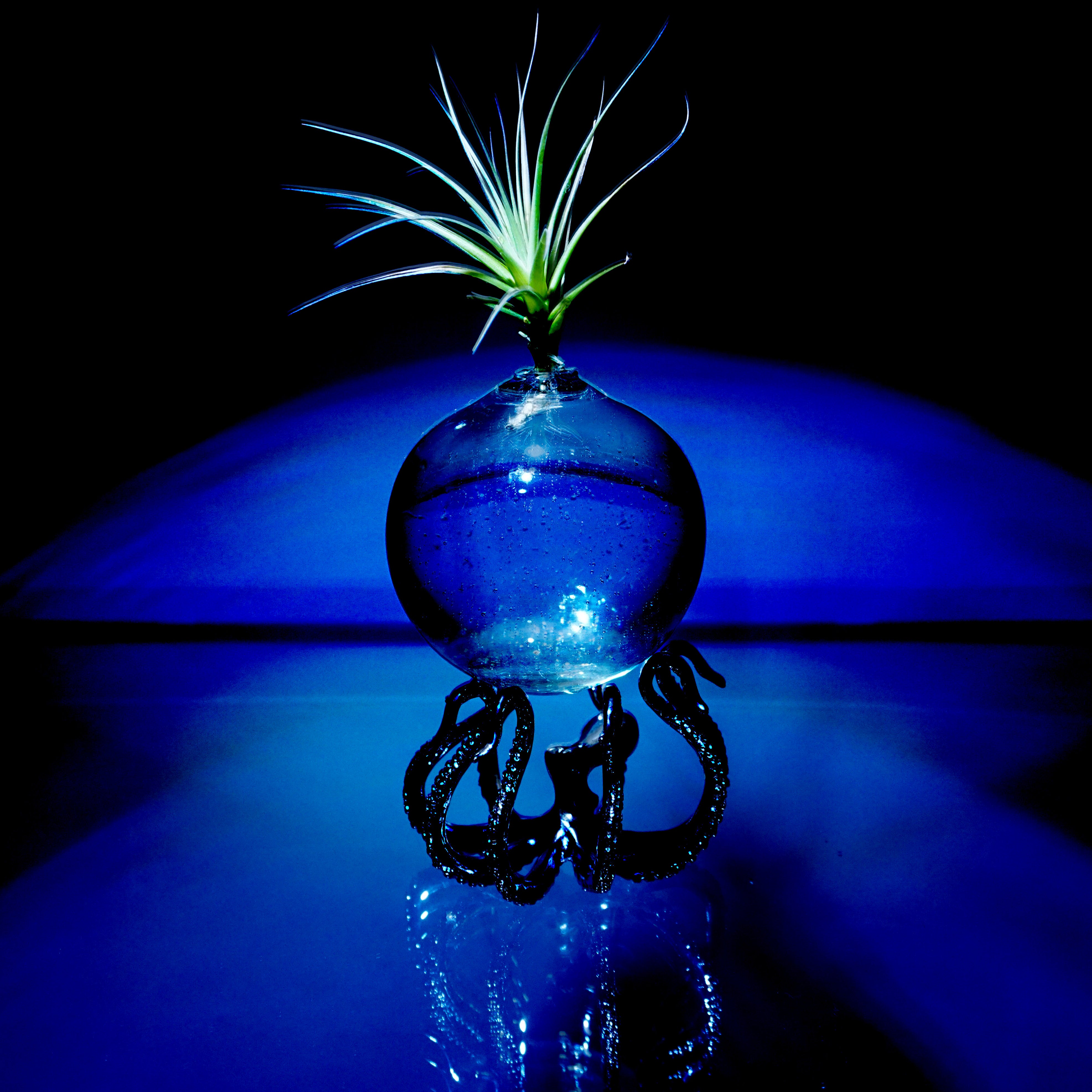 The OctoStand - Ocean-Themed Display Stand for Orbs, Plants and