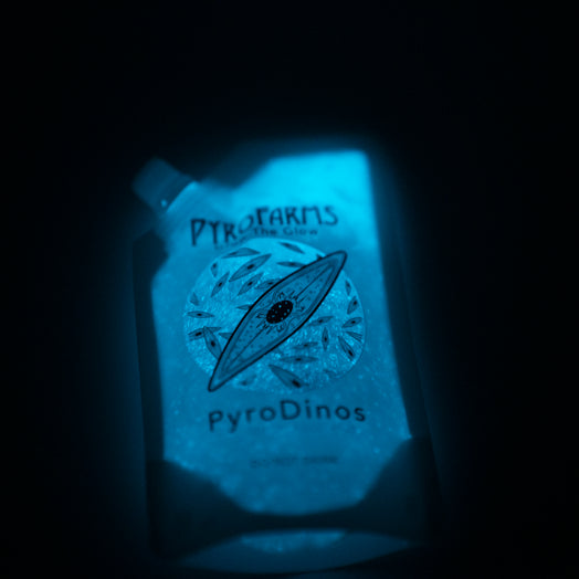 PyroDino bioluminescent spout pouch at night 