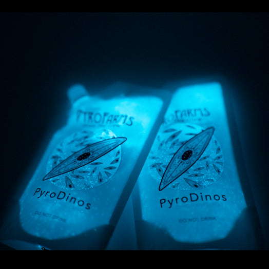 Two PyroDino pouches glowing at night 