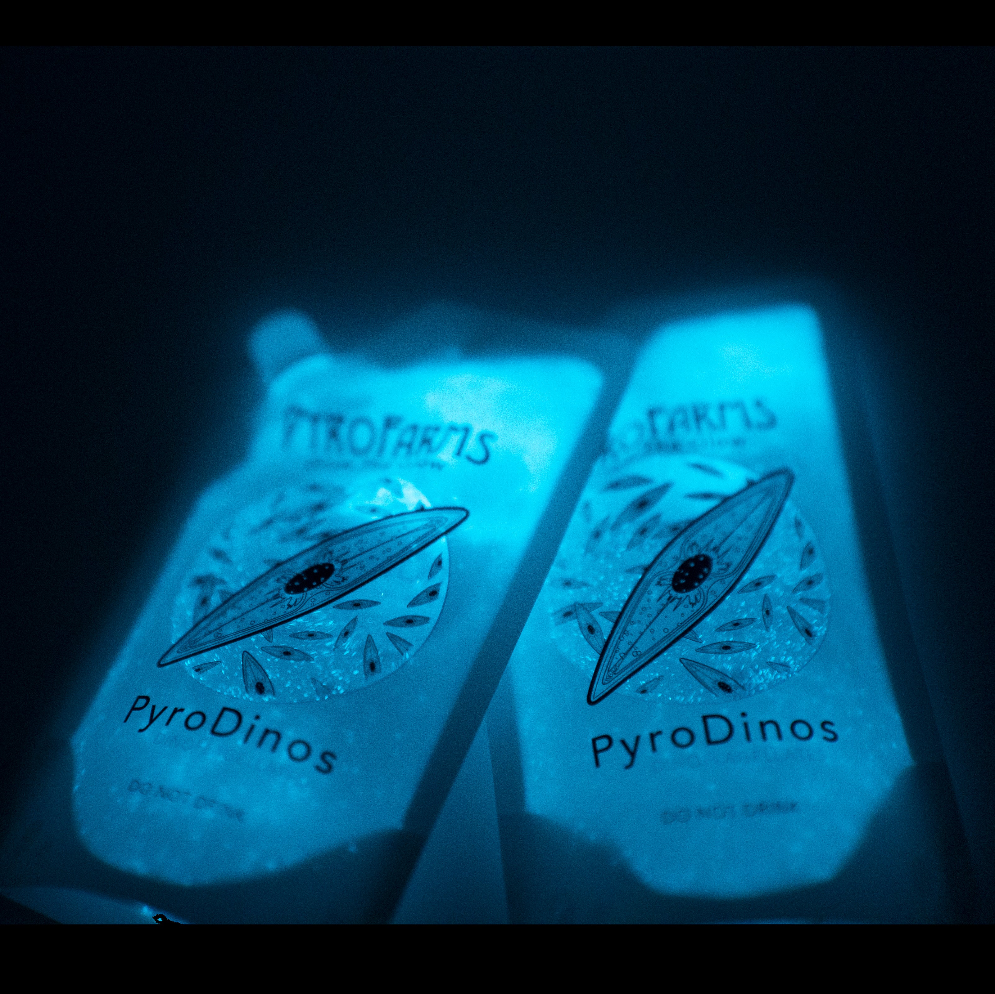 two Bioluminescent PyroDinos 
