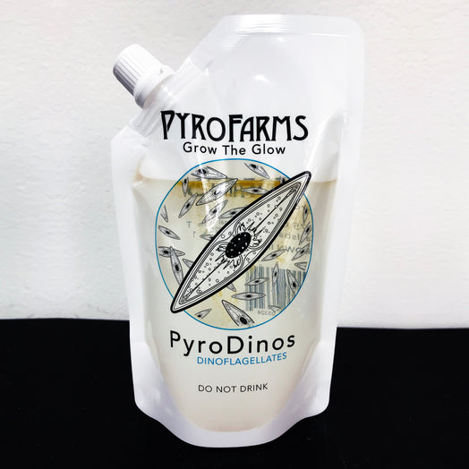 PyroDinos daytime dinoflagellates.  Grow the Glow,  Pyrofarms