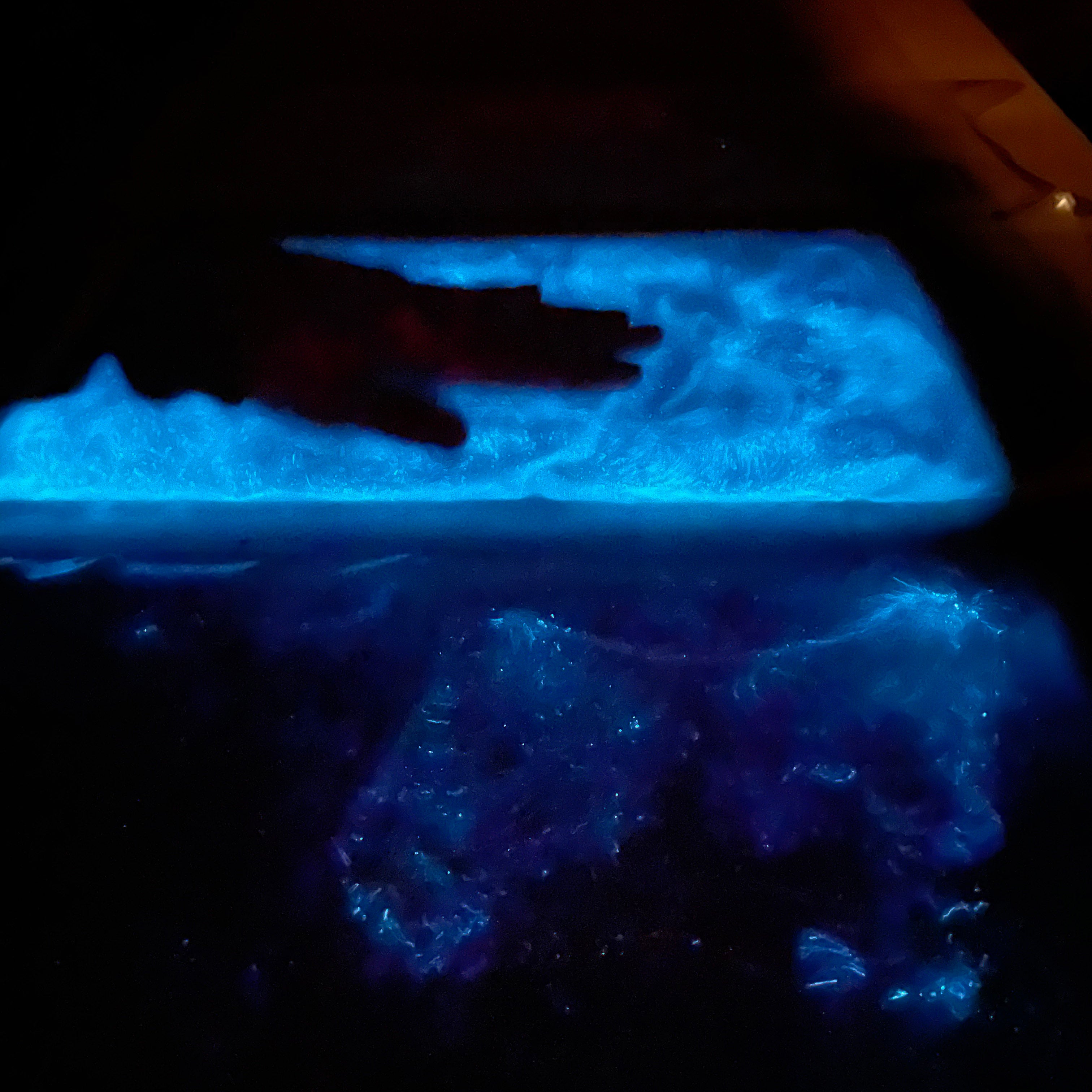 DinoTile containing PyroDinos glowing with natural ocean bioluminescence